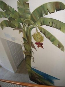 A banana plant growing indoors with a bunch of bananas and flower.