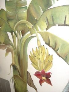 Close-up of a banana plant with a cluster of bananas and flowers.